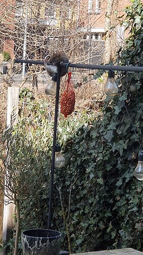 VideoCapture_20240110-174337