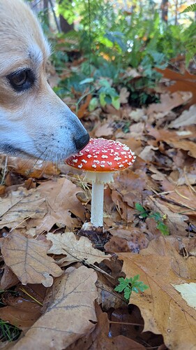 PXL_20251022_102901648