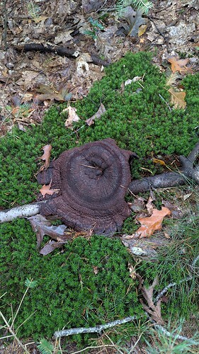 PXL_20251007_100147995