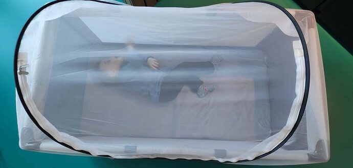 header-deryan-insectennet-1078x516