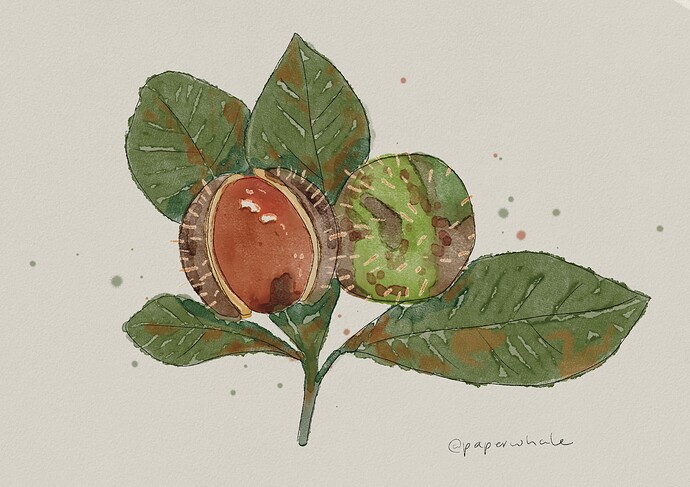 Untitled_Artwork