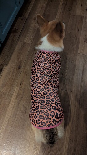 PXL_20251021_180911908