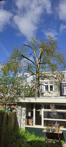 IMG_20230423_105421