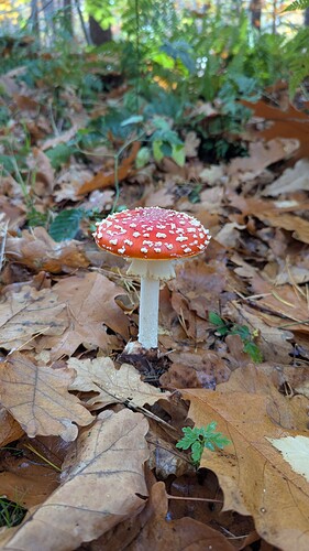 PXL_20251022_102858908