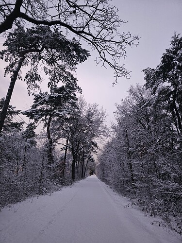 WhatsApp Image 2026-01-04 at 10.49.12