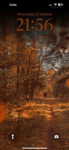 IMG_5364