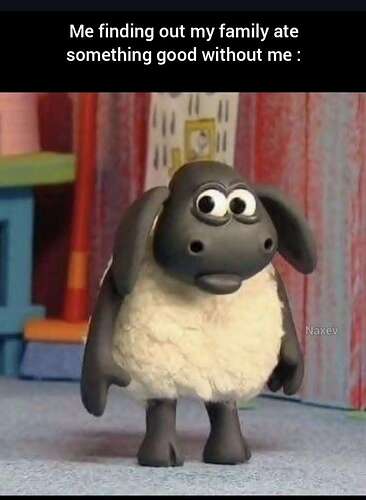 Screenshot_20251106_182357_Instagram