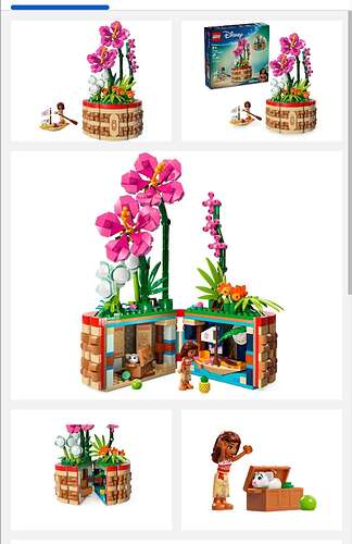 Screenshot_20240704_163629_Chrome