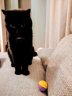 PXL_20260309_182107212.MP~2