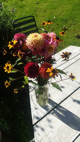 IMG-20230924-WA0006