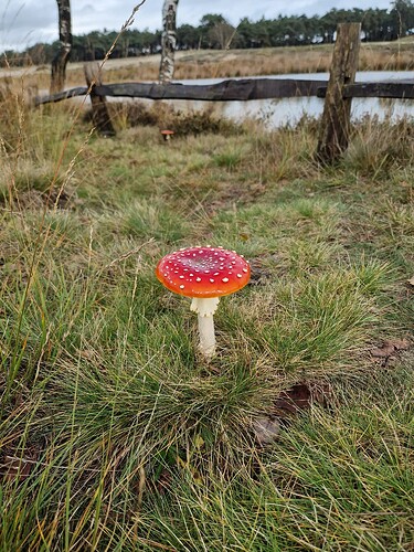 IMG-20231028-WA0012