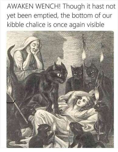 20221118_201849