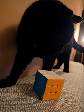 PXL_20260117_204934358