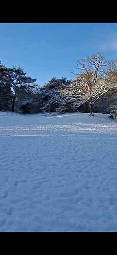 Screenshot_20260106_154527_Gallery