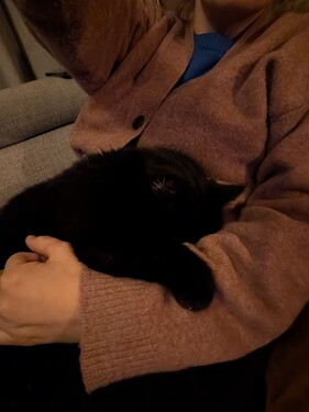 PXL_20260104_194915260.MP