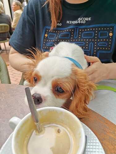 IMG-20250601-WA0014