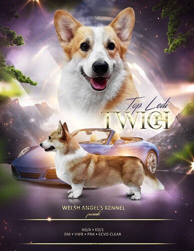 twich-1190x1536