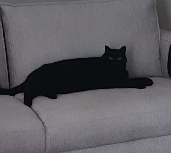 Afbeelding van WhatsApp op 2025-07-02 om 13.33.26_599df3d3