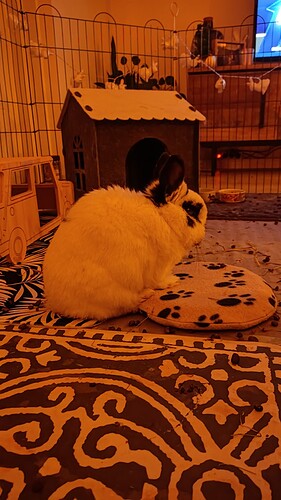 IMG_20231205_210220