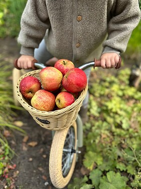 IMG_1508