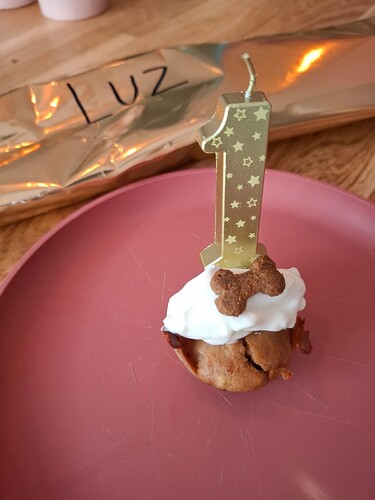 9a1a5b38-3eed-43ec-8154-883f40d6f3a7