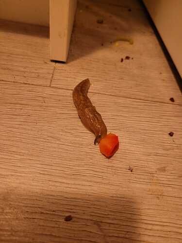 IMG-20231030-WA0022
