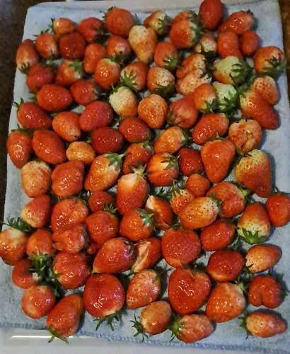 signal-2024-06-02-21-35-23-967