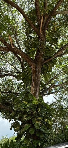 IMG_0654