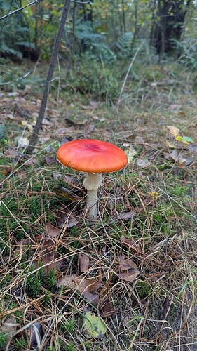 PXL_20251007_100557530