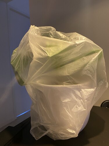 plant
