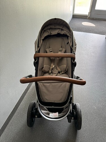 Kinderwagen 2
