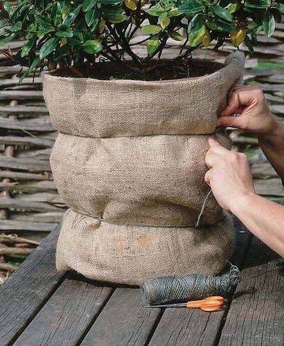 f4a598f527183b8e88fd4835817d776a