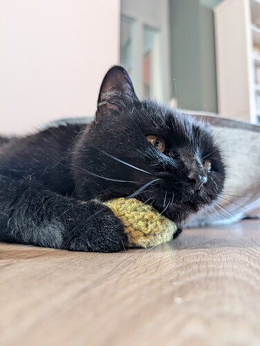 PXL_20260104_133141149.MP