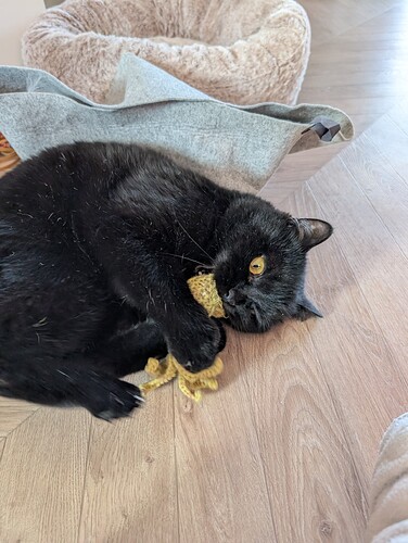 PXL_20260104_132857571