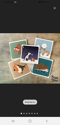 Screenshot_20221206-142436_Etsy