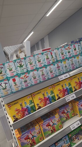 IMG-20240906-WA0000