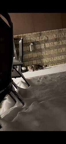 IMG_0501