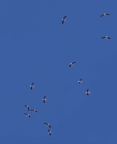 IMG_5728