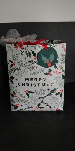 IMG_20241221_152843