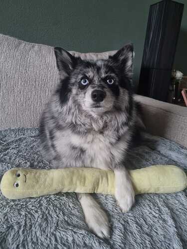 IMG-20250211-WA0006