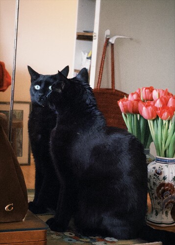 fxn 2026-02-03 154917695C80B7B8D7