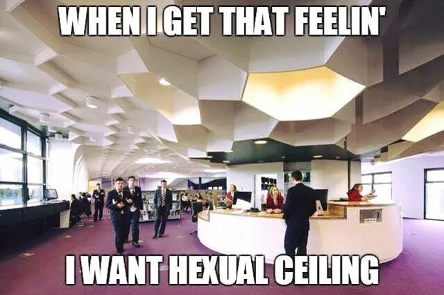 feel