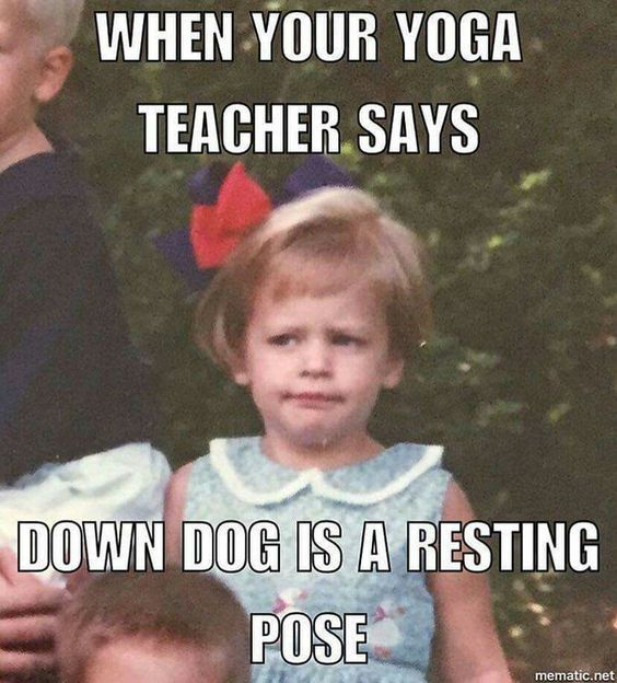 6c26ff3d60f51c0ee05e8fb891672f3c--yoga-humor-hilarious-yoga-quotes-funny