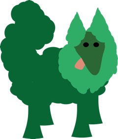 brocolli2