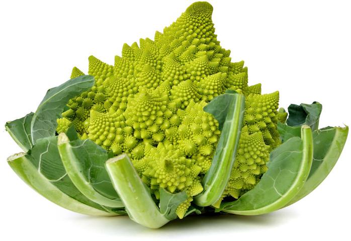Romanesco-9-S-D-v-san1-698