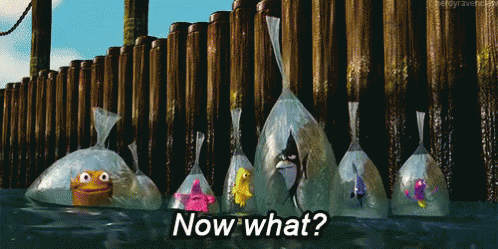 finding-nemo-bags