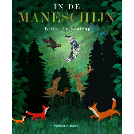 In-de-maneschijn-Britta-Teckentrup-1-Noranook