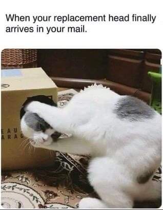 FB_IMG_1601486883759