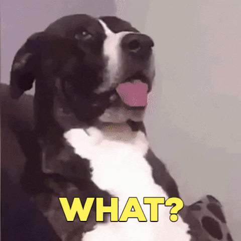 giphy