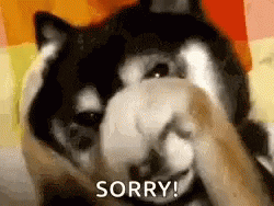 giphy (1)